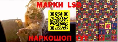спайс Гусев