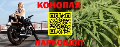 спайс Гусев