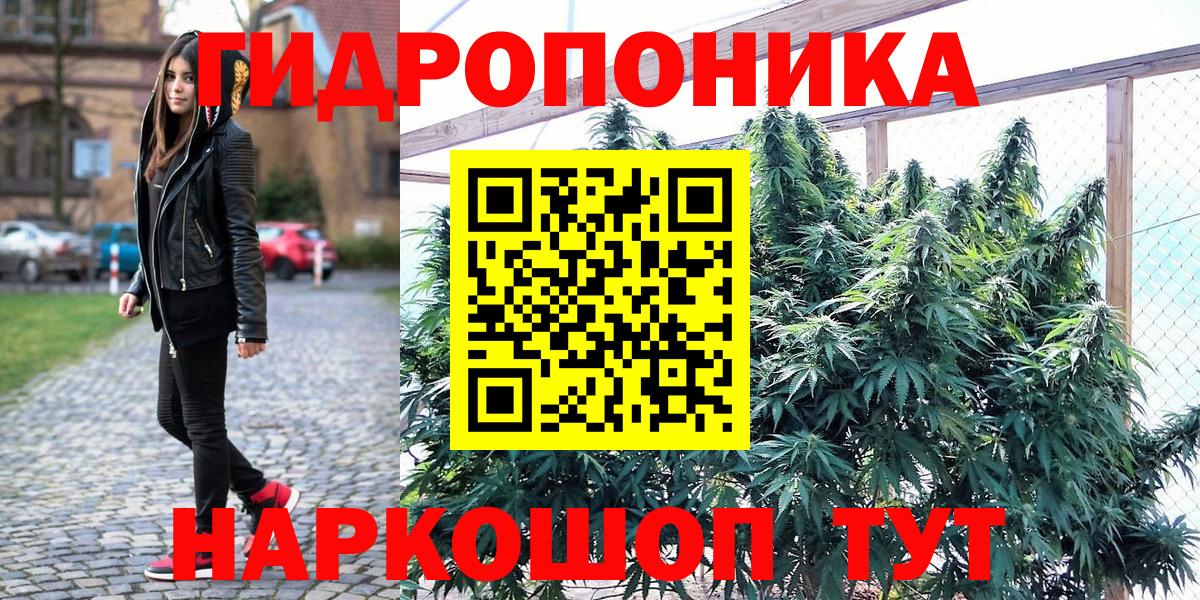 Конопля конопля  Вход с VPN  Каннабис OG Kush  Норильск  Марихуана марихуана 